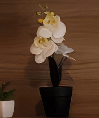 The little things at MTD Caravan Hire